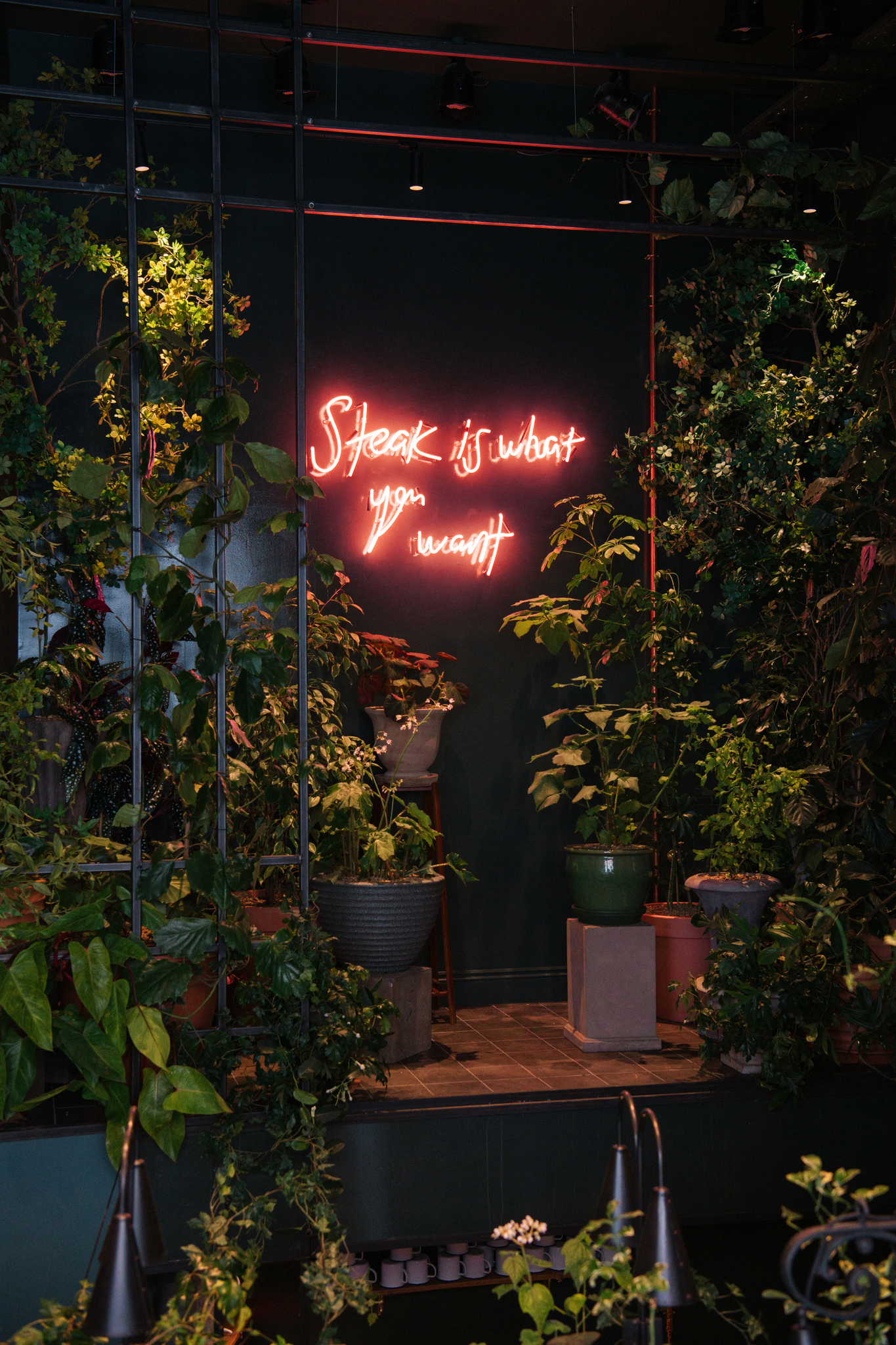 Indoor neon light in a warm red colour surrounded by lots of indoor plants