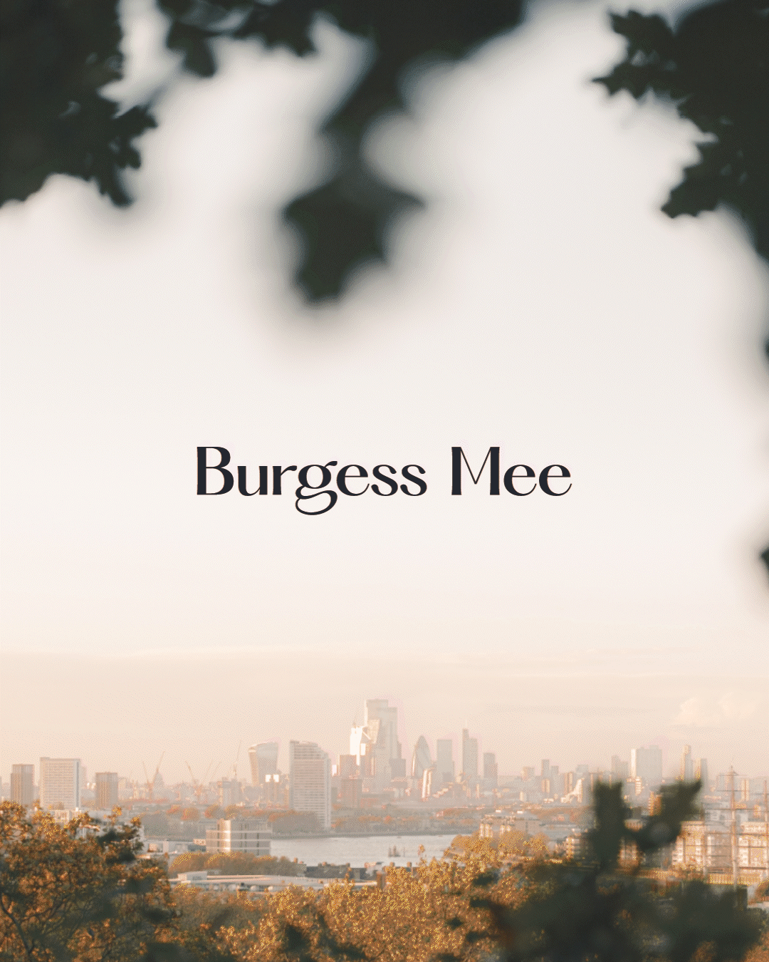 Gif showing different photography and burgess mee logo on top in navy